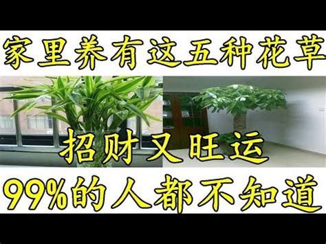 紅竹風水|五分鐘學會紅竹風水改運法